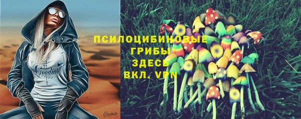 ALPHA PVP Рославль