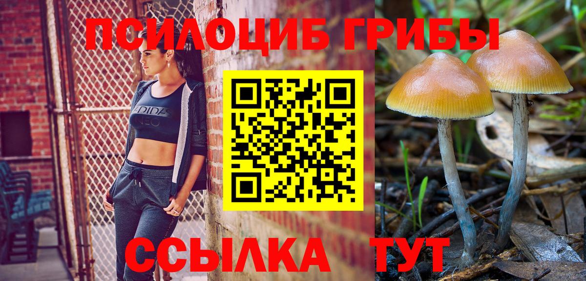 Псилоцибиновые грибы Magic Shrooms Аша