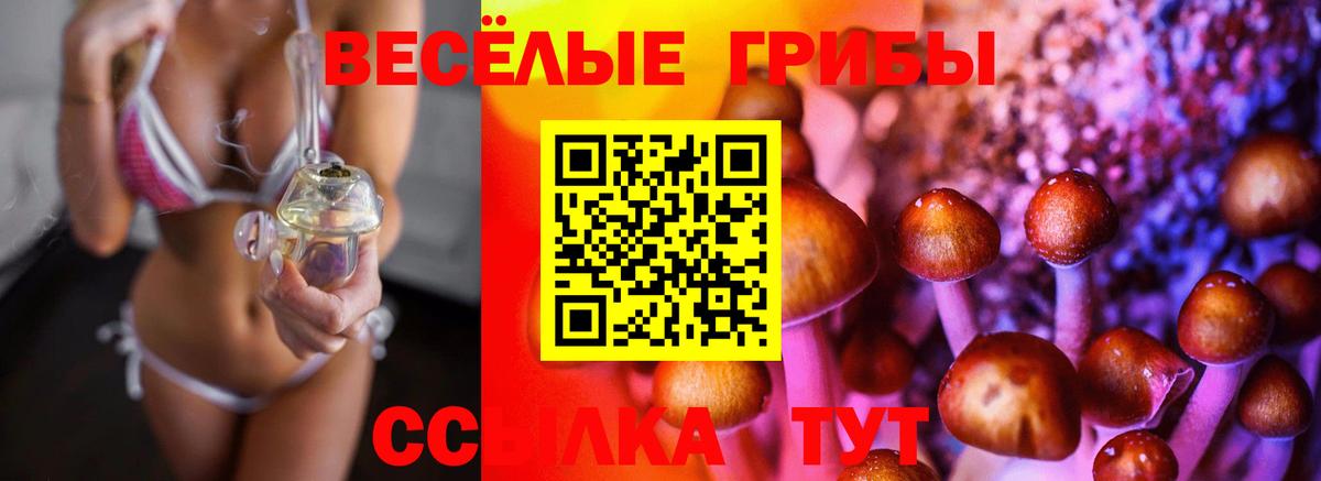 наркотики  Псилоцибиновые грибы Magic Shrooms  Аша  Галлюциногенные грибы ЛСД 